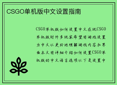 CSGO单机版中文设置指南
